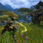 Kingdoms-of-Amalur-Reckoning-3