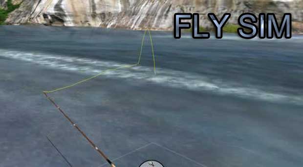 Fly-Sim-0