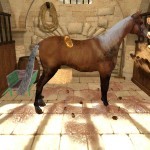 Horsez-Школа-верховой-езды-1