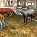 My-Riding-Stables-1