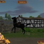 Академия-конного-спорта-1