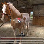 Долина-Роз-Секрет-Николь-1