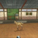 Лошадь-моей-мечты-1