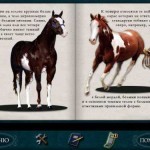 Нэнси-Дрю-Тайна-ранчо-теней-1