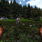 Bear-Simulator4