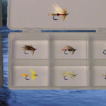 Fly-Sim