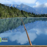 Lets-Fish-РБК2