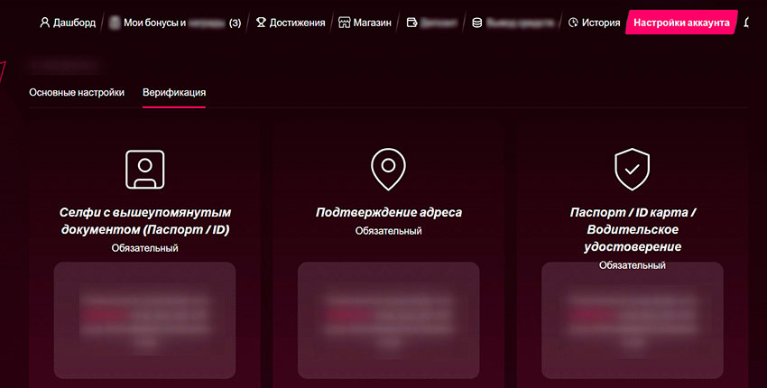 Раздел проверки личности