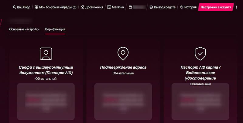 Раздел проверки личности
