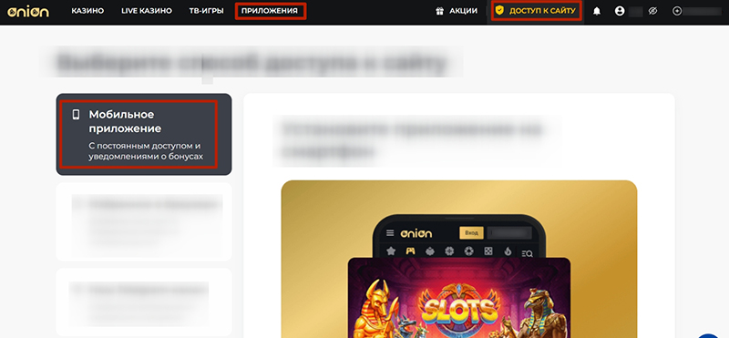 Страница с перечнем всех вариантов для получения доступа к сайту